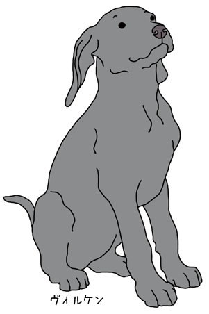 ベビーヴォルケン